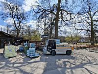 Königlicher Hirschgarten