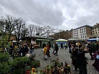 Biergarten am Viktualienmarkt