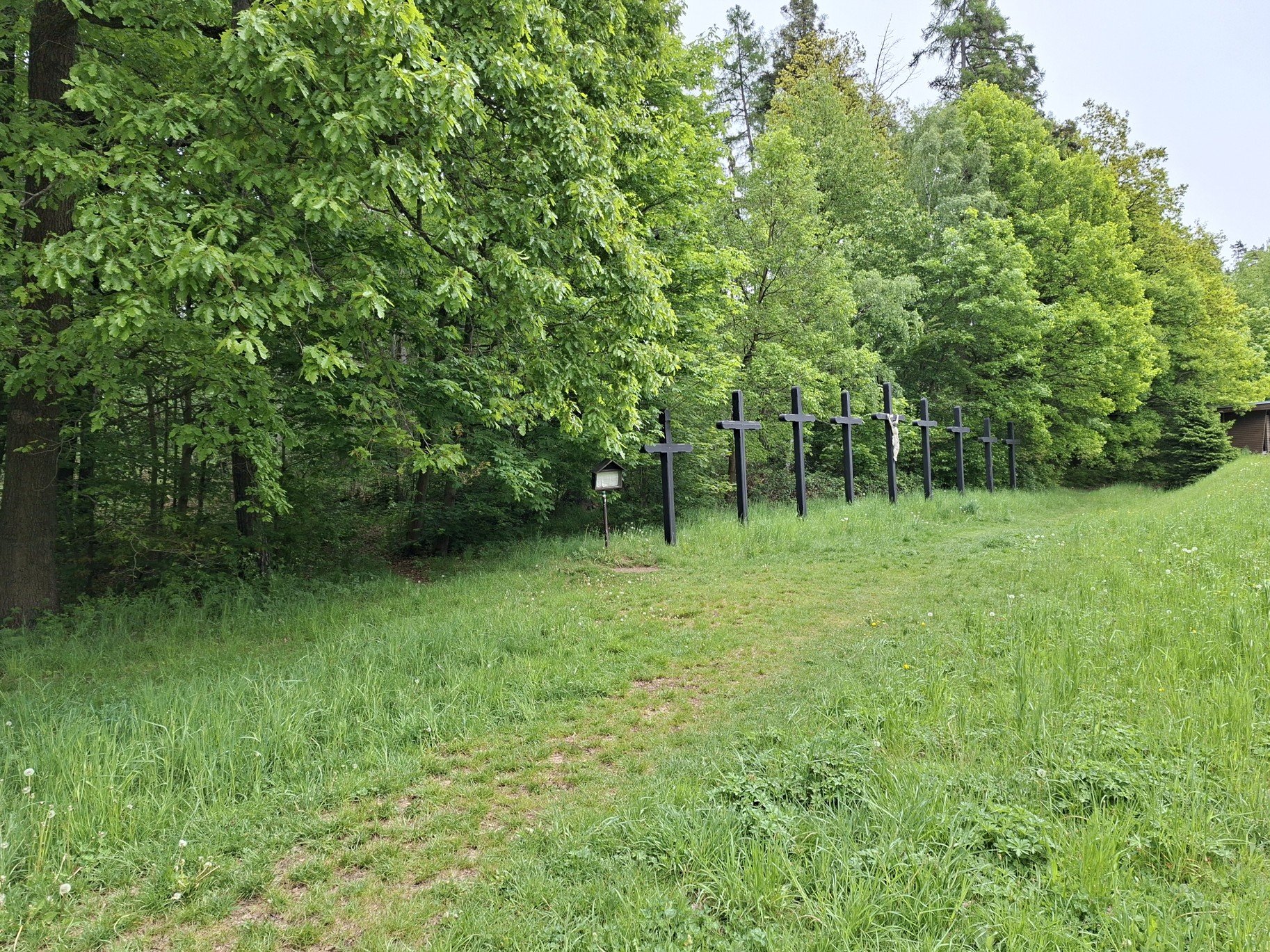 Obrázky z D1 – Postřílená svatba (168. km)