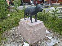 Obrázky nejenom z Laponska – Laponský sobí pes v Inari ve Finsku