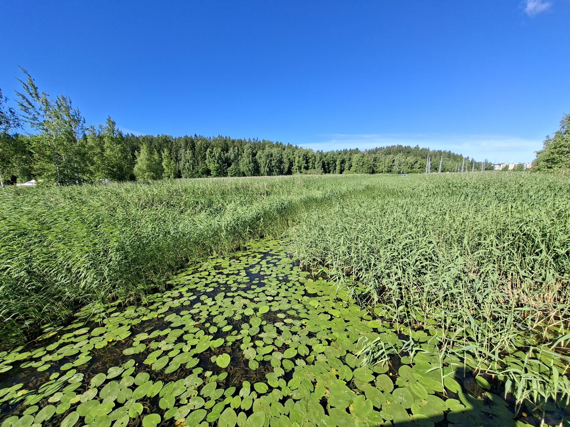 Obrázky nejenom z Laponska – rozhledna v Porvoo ve Finsku