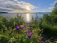 Skoro půlnoční slunce předvádí skvělé představení nad Trondheimsfjorden.