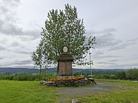 Řežba téměř 20 000 mužů by měla zanechat mnohem více archeologických nálezů, ale ve Stiklestadu se toho moc nenašlo. Lze se také dočíst, že král byl zavražděn, a to buď vlastním lidem nebo se jednalo o přepadení.