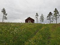 Půlnoční slunce, tisíce jezer, milióny komárů, stáda bezejmenných a devět santových sobů, jeden Santa Claus, co má své sídlo v Laponsku, ale za Sáma bych ho nepovažoval. Trochu netradiční, ale rozhodně nezapomenutelná cesta pokračuje.