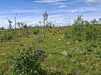 Tundra a tajga. Jsou od sebe „pouze“ o jeden vegetativní stupeň, přesto je to velký rozdíl. Kdysi jsme se učili ve škole, že sibiřská tajga je les nejsevernější části mírného pásu, kdežto tundra je už v tom subpolárním.