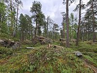 Největší a nejsevernější region Finska je drsný, řídce obydlený kraj sevřený Botnickým zálivem a norským Finnmarkem. Ačkoliv finské Laponsko pokrývá téměř třetinu země, žijí tu jen tři procenta populace Finů, tedy méně než se tu pase sobů.