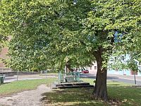 Třebenice a mariánský sloup