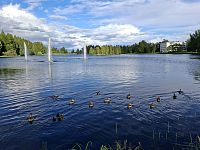 Zeleně a vody je v Rovaniemi více než dost.