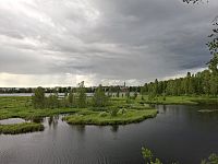 Rozhledna či ptačí pozorovatelna břehu jezera Harjulampi.