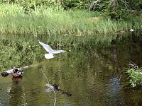 Hupisaaret, zajímavý veřejný městský park.