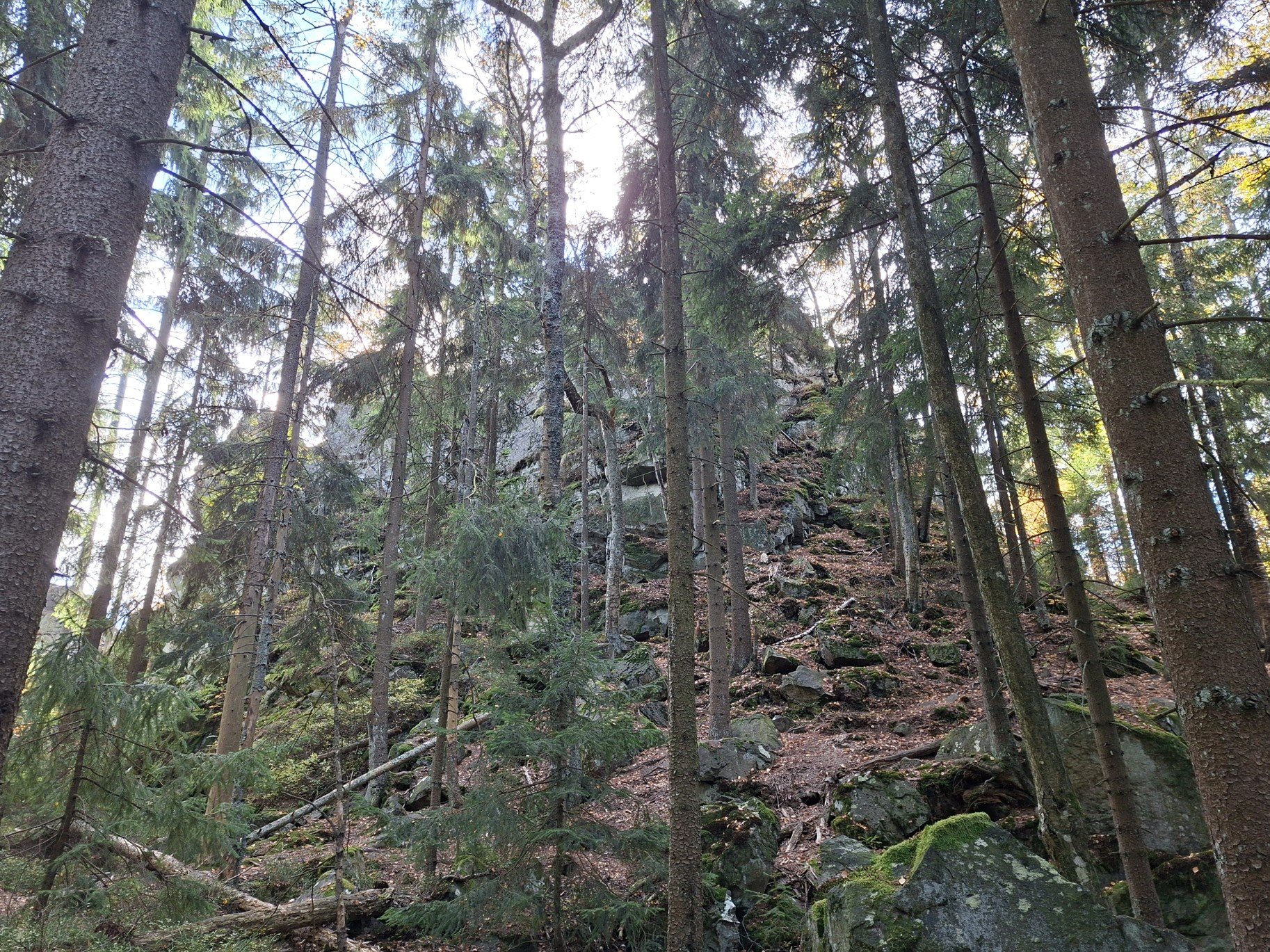 Vrchol Devět skal (836 m.n.m.)