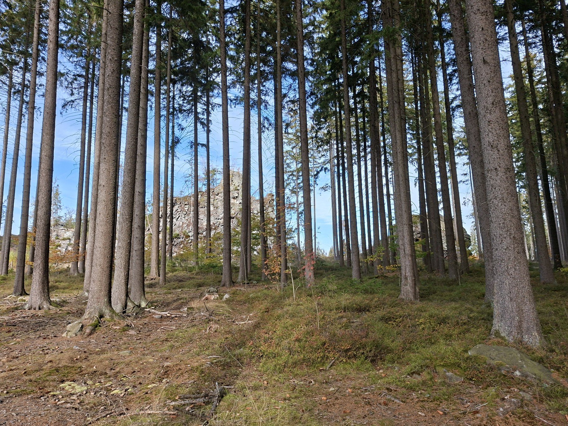 Přírodní památka Devět skal