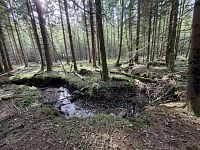 Pod Žákovou horou už trochu vody v korytě řeky je.