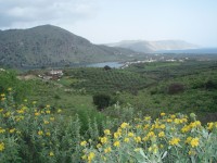 Kournas - největší sladkovodní jezero na ostrově Kréta