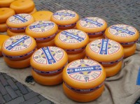 Alkmaar a proslulé sýrové trhy