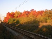 trať ku Hradci na podzim