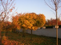 podzimní hřbitov