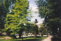 Istambul-sultánův palác Topkapi