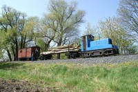 Nákladní vlak se dřevem