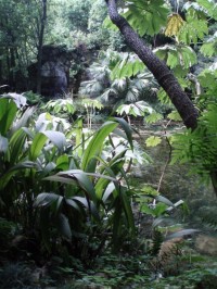 Park Královského paláce Caseta ,Itálie,www.fotogaleriezahrad.cz