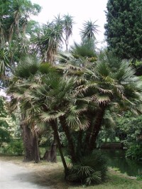 Park Královského paláce Caseta ,Itálie,www.fotogaleriezahrad.cz