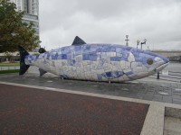 Belfast, Bigfish