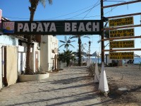 Papaya beach