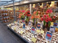 plovoucí květinový trh