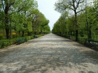 Schönbrunn park