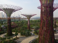 Garden by the Bay - Skyway