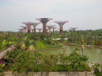 Garden by the Bay - Skyway