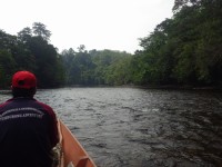 Ulu Temburong