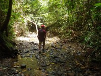 Ulu Temburong - trek k jezírku s vodopádem