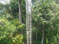 Ulu Temburong - Canopy Walkway