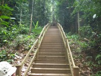 Ulu Temburong - trek ke Canopy Walkway