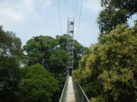 Ulu Temburong - Canopy Walkway