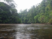 Ulu Temburong