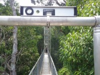 Ulu Temburong - Canopy Walkway