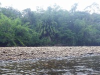 Ulu Temburong