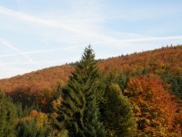 podzimní vybarvení jedlobukových lesů Gírové
