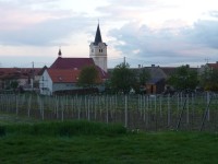 Šatov - Naučná vinice starých odrůd