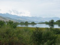 NP Skadarské jezero