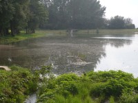 Babické rybníky
