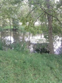 Karlov - rybník