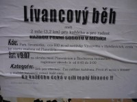 Lívancový běh ve Stromovce v Praze