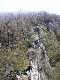 Národná prírodná rezervácia Roštún