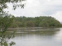 Morava, laguna na řece