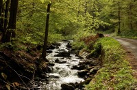 Vernířovice-vodopád Merty-Nad Malým kotlem-Jelení studánka-Čertová stěna-Vernířovice