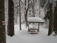 hřebenovkou na Libín, 13.2.2010