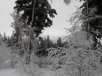 hřebenovkou na Libín, 13.2.2010